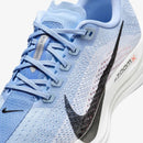 Tênis Nike Pegasus Plus Feminino Azul