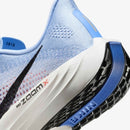 Tênis Nike Pegasus Plus Feminino Azul